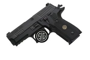 P229 LEGION 9MM DA/SA 9MM NEWEST LE GUNS