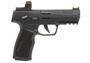 SIG SAUER P322 RXZE 20 ROUND NO CALIFORNIA ORDERS
