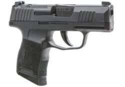 W365-9-BXR3P SIG SAUER P365 9MM LE OFF DUTY PROGRAM